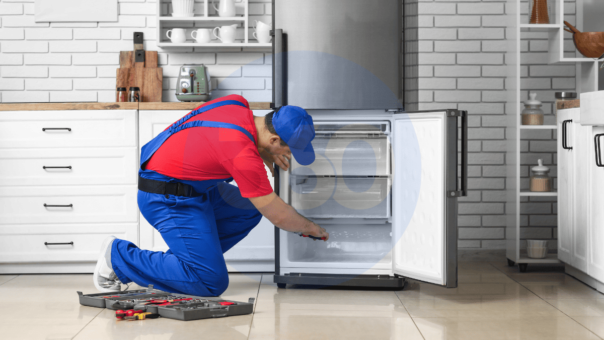 Ardeşen Buzdolabı Servisi